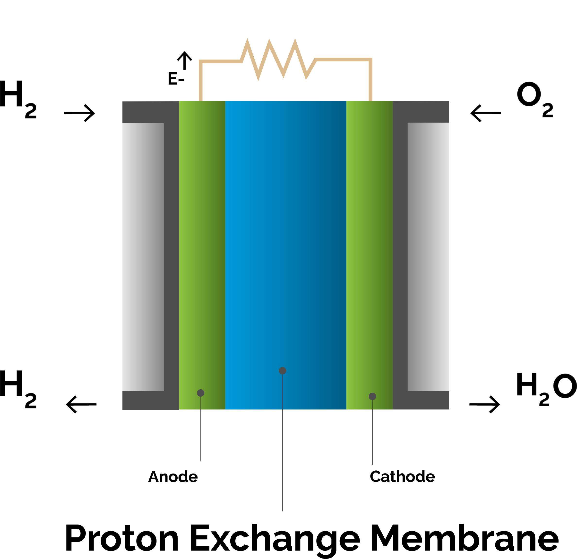 PEM Fuel Cell reaction